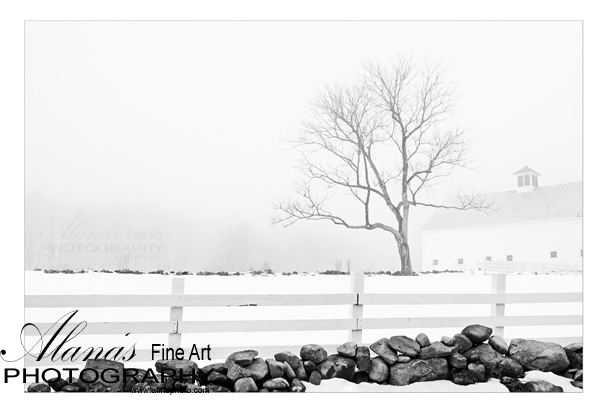 Limited edition print,Maine fine art photography
