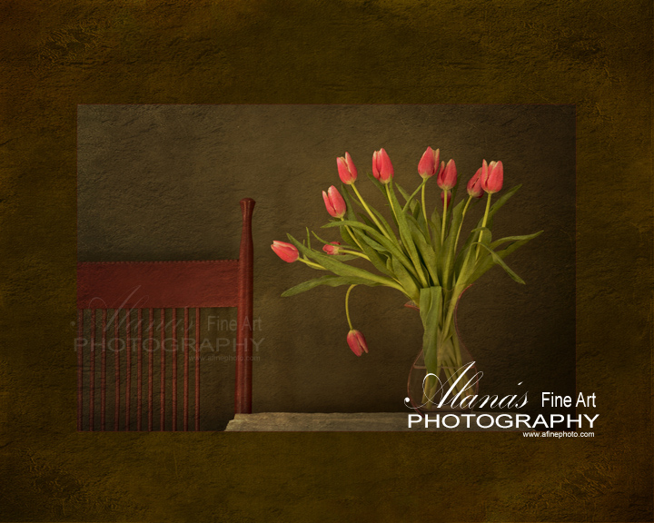 fine art tulip print Maine photographer