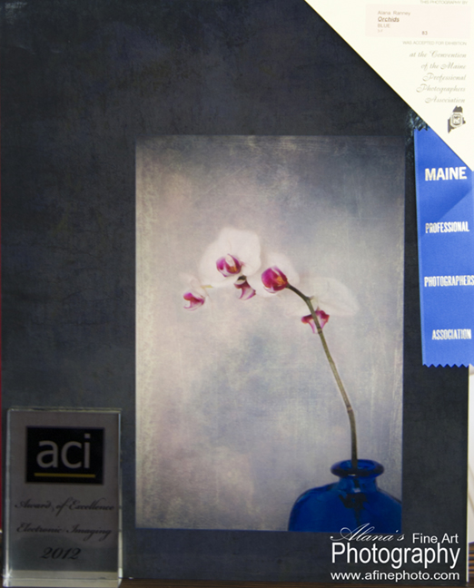 Maine MPPA Imaging award Orchids print compention