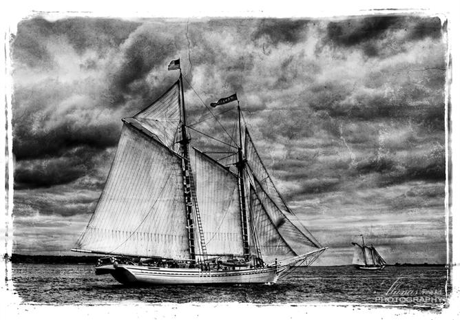 Limited edition print, Sailing, Boothbay Harbor, Maine black and white print