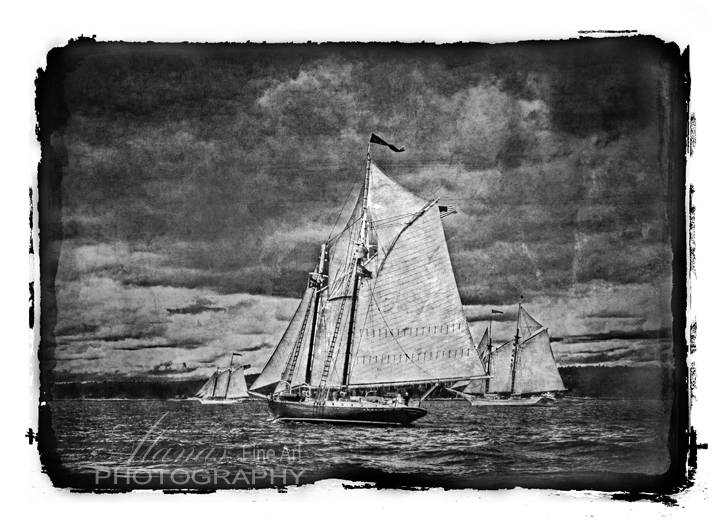 Limited edition print,Sailing Ships, Boothbay Harbor, Maine black and white print